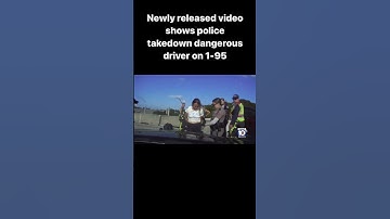 Newly released video shows the dramatic takedown of a reckless driver on 1-95 #policechase #carchase