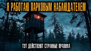 видео: Я Работаю Парковым Наблюдателем в США, тут я обнаружил Странные Правила... картинка: Я Работаю Парковым Наблюдателем в США, тут я обнаружил Странные Правила...