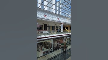 سوره الملك #اكسبلور قرآن كريم #اكسبلور #explore #duet #قرآن #love #١ #٢ #٣ #٤ #٥٠٠٠٠مشترك