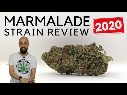 Marmalade 2020 Strain Review