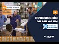 Máquinas industriales para producir milanesas Balcami