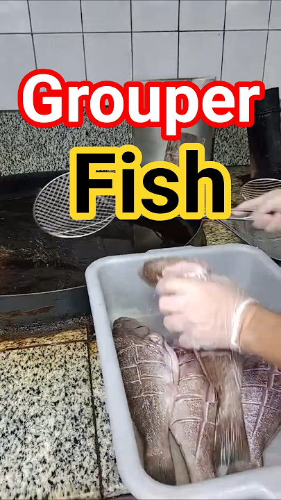 fry grouper fish #food #feedshorts #shortvideo #youtube #viralvideo #trending