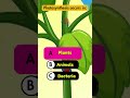 "🌿 Photosynthesis Occurs in? | Quiz Quest 🌿"