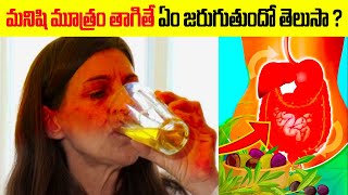 మనిషి మూత్రం తాగితే ఏం జరుగుతుందోతెలుసా? Unknown Facts about Urine #healthtips | Adhbutha Samacharam