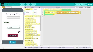Age converter years to hours