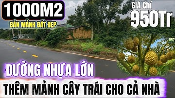 🔴Bán đất lâm đồng phát sinh thêm đất sào 1000m2 mặt đường nhựa rộng vườn đẹp sẵn thu Lh 0379.590.939