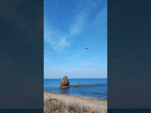 アプローチしてきたのはANAでした