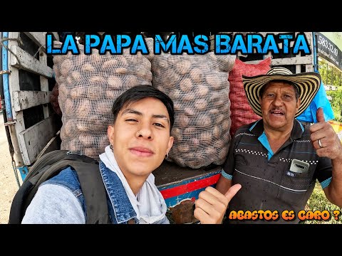 ABASTOS VS CAMPESINOS VS CARULLA - SIN ROL ESPECIFICO - CARO VS BARATO