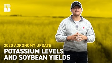 Potassium and Soybean Yields | Beck