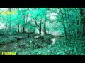 Dave Grusin Bossa Baroque 