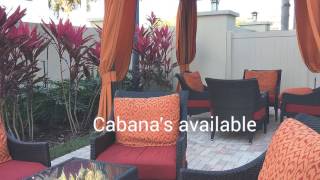 cocktail video