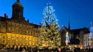 Video thumbnail of "Johnny Jordaan - De Kerstboom"