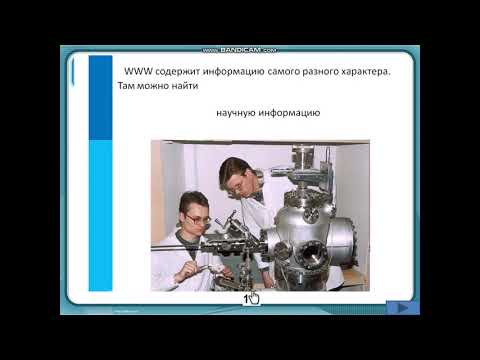 Всемирная паутина