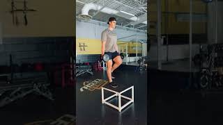 Alternating Dumbbell Step-Up (Knee Drive) | Force/Velocity/Power | PowerTech Hockey Off-Ice Training