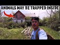 Animals May Be In Danger Inside This RANDONAUTICA House (CREEPY ANIMAL SOUNDS CAUGHT ON TAPE)