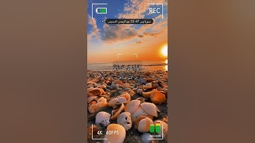 سورة يس الاية 47-52