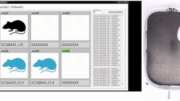 Home Cage Temperature and Activity Monitoring - Mouse Matrix