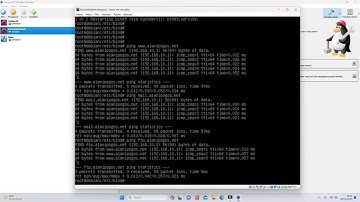 Instalasi dan Konfigurasi DNS Server pada Debian 10