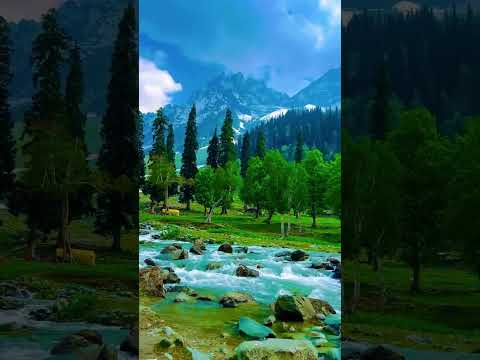 #viralvideo #shortvideo