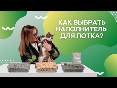 Какой наполнитель для кошачьего туалета выбрать? / Саша знает