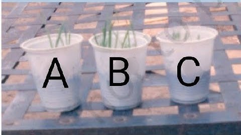 Class 8th Chapter 1 crop production & management Activity1.2 | Growing seed with Fertilizer & manure