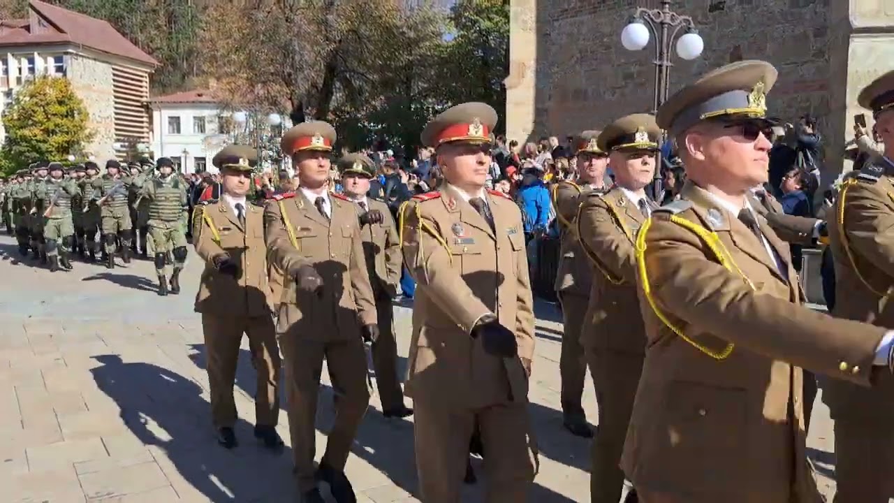 Video. Festivități dedicate Zilei Armatei: două aeronave militare au survolat platoul Curții Domnești