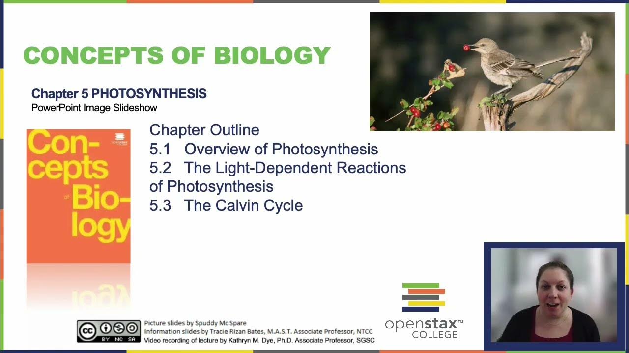 Openstax concepts of biology chapter 5 getting started youtube