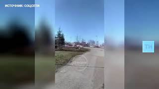На видео попал молодой лось, бегавший по улицам Казани