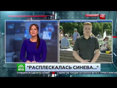 Расплескалась "синева" в день ВДВ на НТВ.