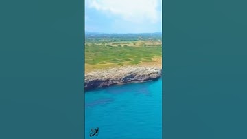 سورة المائدة وكانك تسمعها لأول مر.ة❤️..🌷،،🍃.💜.💘💝.🌼بصوت الشيخ حمزة مدبو.ح ❣️.🖤.💜..💔،،💛،🌼