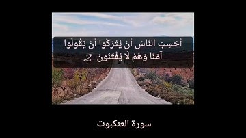القرآن الكريم سورة القصص وبداية سورة العنكبوت صفحة 396
