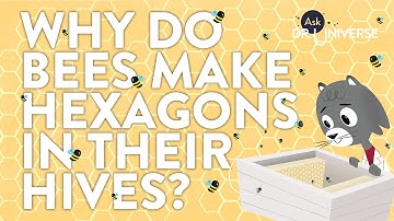 Why Do Bees Make Hexagons In Their Hives?