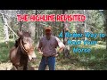 A better way to hold your horse. How to set up a highline for horse camping