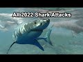 All 2022 shark attacks