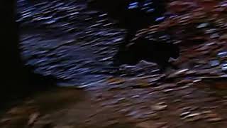 Hocus Pocus - (1993) TRAILER