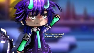 The Odd Ball Gl Trendoriginal