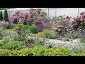 17.03.2021. Схема моего розария в розово - малиновой гамме, план центральной части сада. Часть 1.