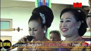 Ucing  Ucingan Jaipong Puspa Dahlia Karang Baru Kuningan. 