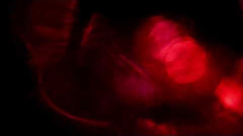 14  Bokeh transition||templates||video effects||new videos||visualizer