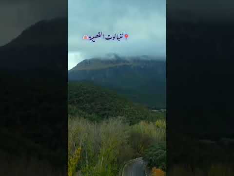 تغبالوت القصيبة 