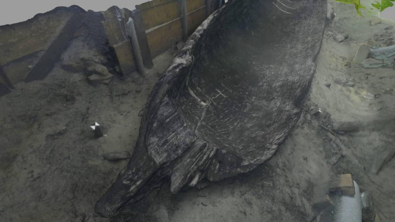 ZaPA - Vrhnika logboat