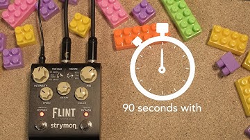 90 Seconds With Strymon Flint