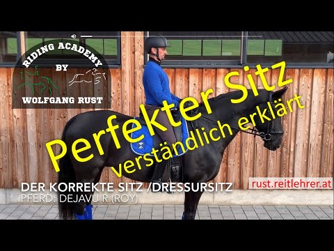 Video: Wie Man Einem Pferd Das Sitzen Beibringt