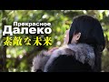 Ichigo Tanuki - Прекрасное Далеко (на японском языке)