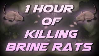 Slaying Brine Rats | Testing OSRS Wiki Money Making Methods