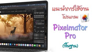 PixelmatorPro [EP.1] แนะนำโปรแกรมทำรูป เหมือน Photoshop ใน Mac และ iPad