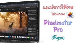 PixelmatorPro [EP.1] แนะนำโปรแกรมทำรูป เหมือน Photoshop ใน Mac และ iPad screenshot 5