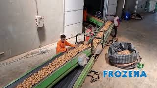Frozena French Fries Factory 2023
