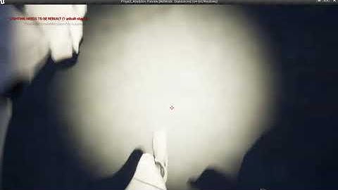 true first person camera