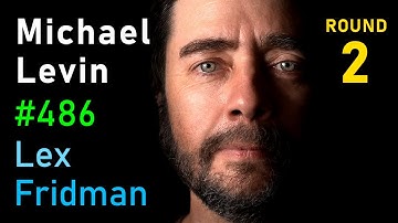 Michael Levin: Reality is an Illusion - Alien Intelligence, Biology, Life | Lex Fridman Podcast #486